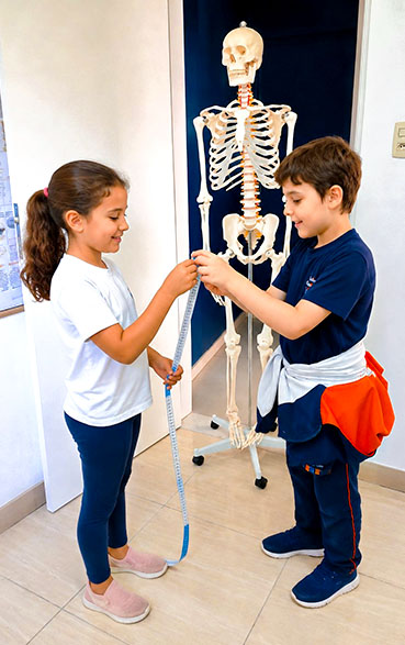 Alunos estudam anatomia com esqueleto didático