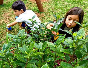 Aluna cuida da horta escolar