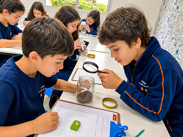 Alunos observam amostras com lupa